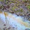 Toxic substances in stormwater runoff