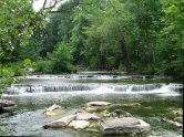 An Onieda Lake Tributary