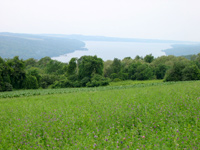 View from the Skaneateles Highlands View from the Skaneateles Highlands